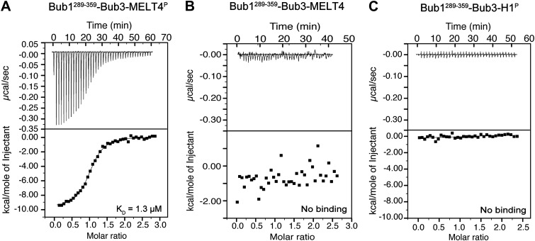 Figure 1—figure supplement 1.