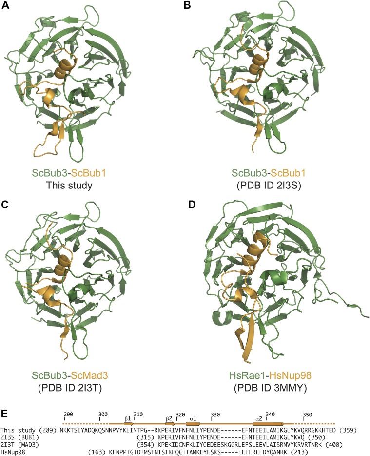 Figure 2—figure supplement 1.