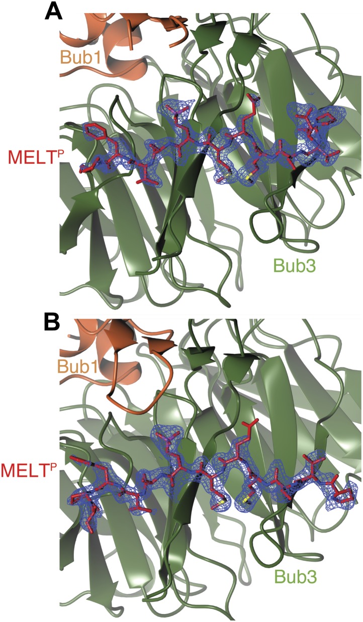 Figure 2—figure supplement 2.