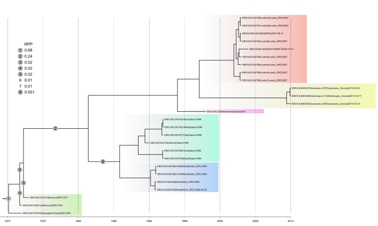 Maximum clade credibility tree of concatenated coding sequences belonging to the Zaïre clade.