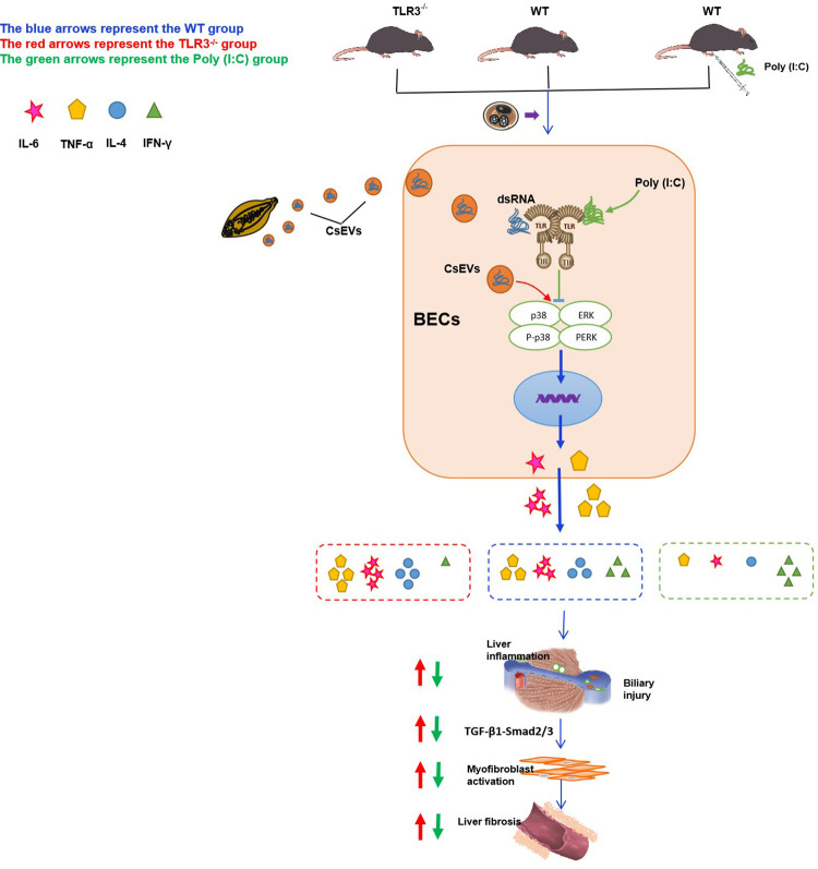 Fig 10