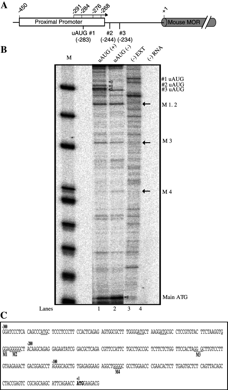 Fig. 1