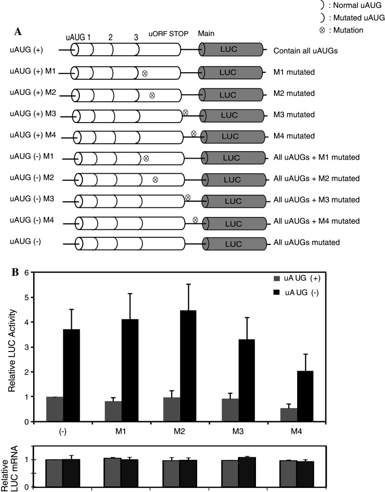 Fig. 2