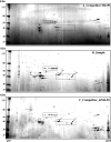Fig. 4