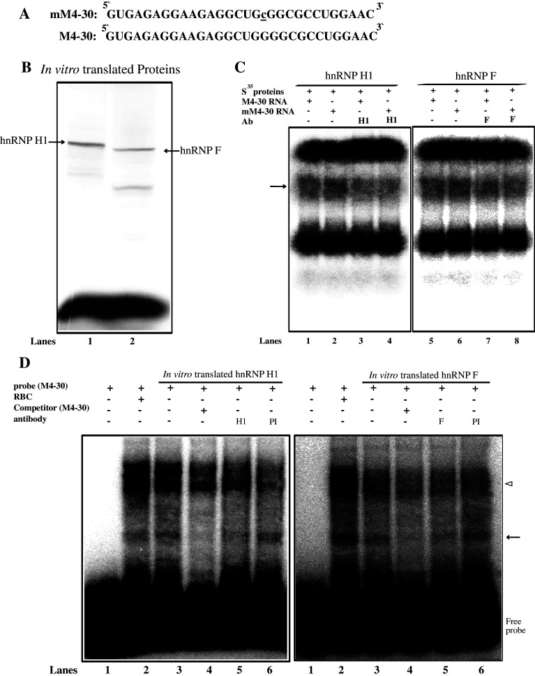 Fig. 6