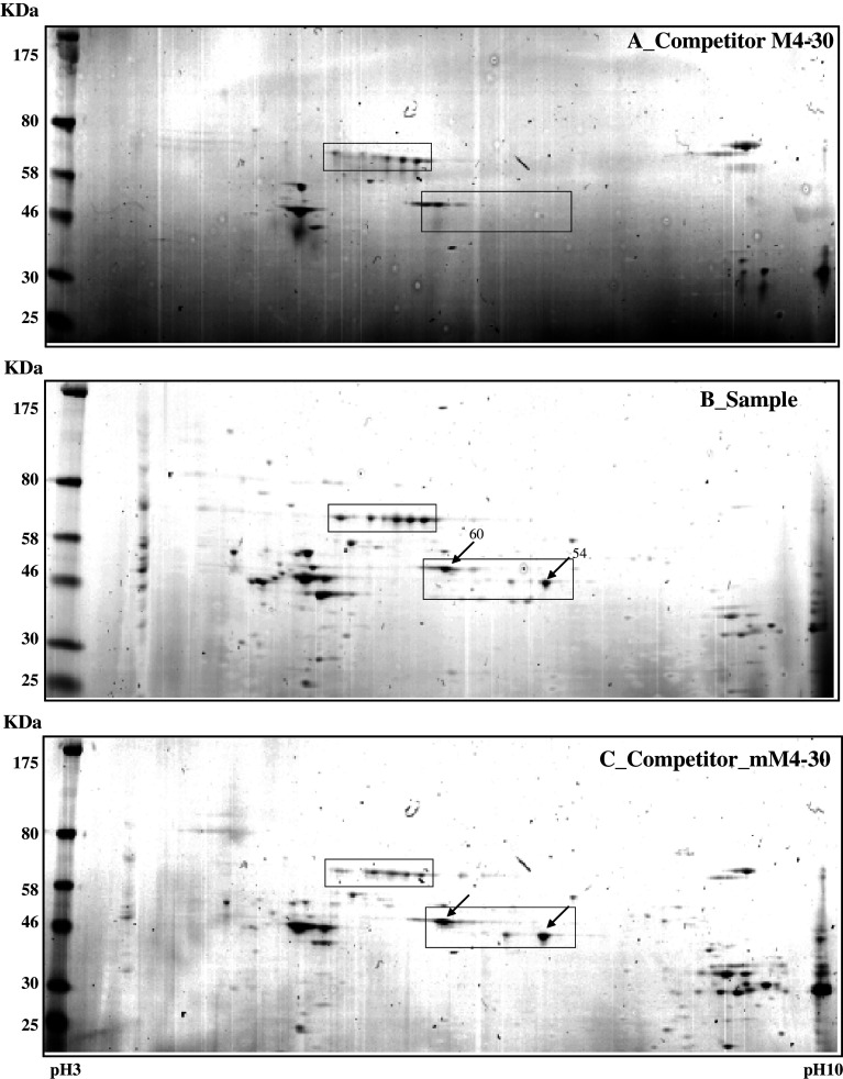 Fig. 4