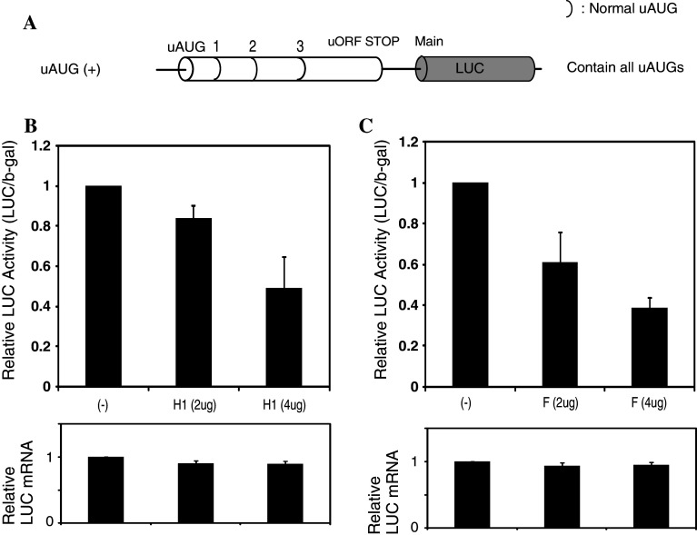 Fig. 7