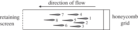 Figure 1.