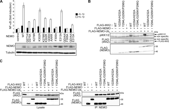 FIG 6