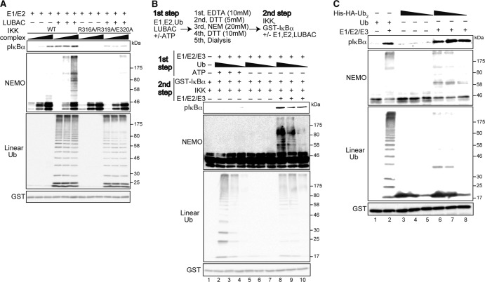 FIG 1