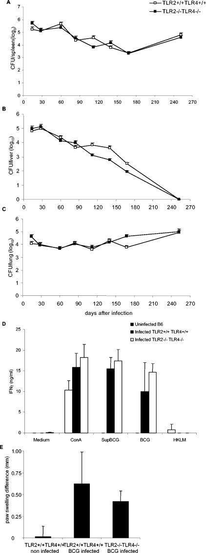 FIG. 8.