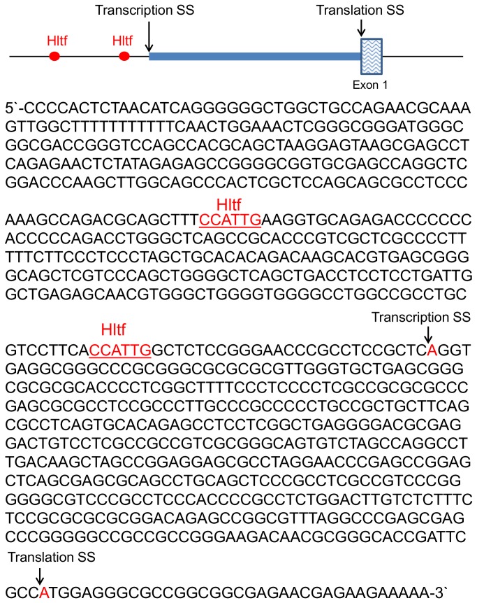 Figure 9