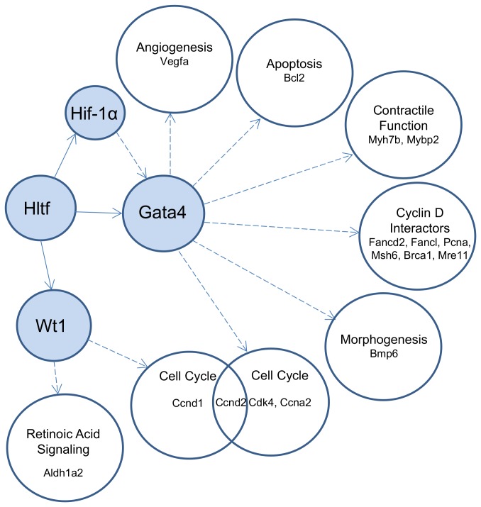 Figure 11