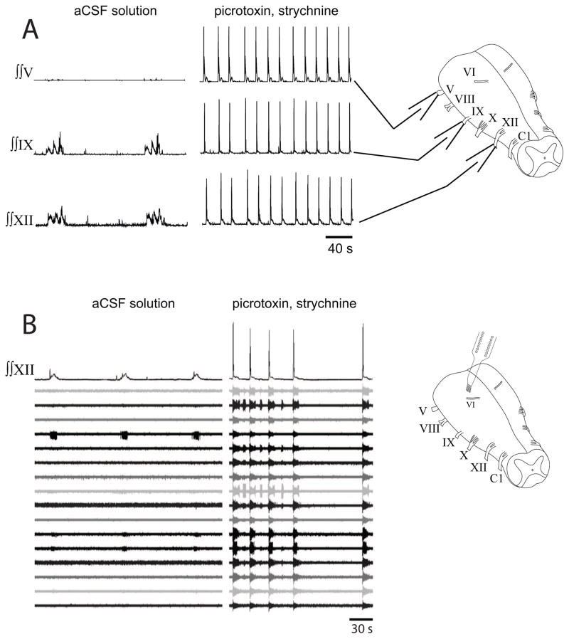 Fig. 5