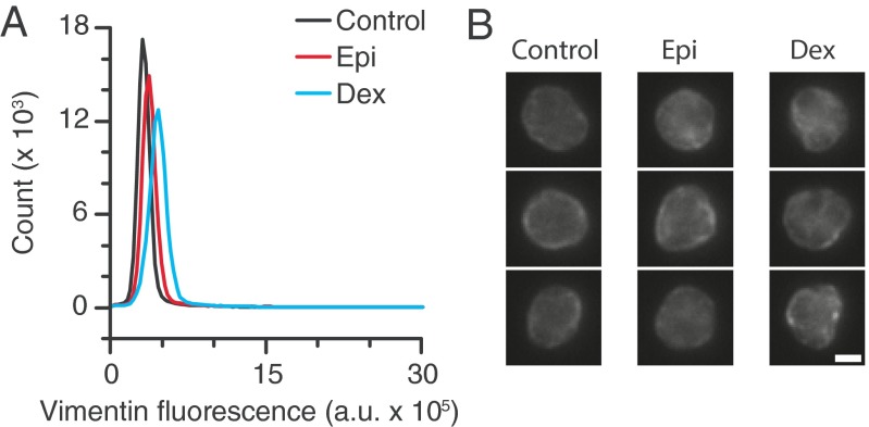 Fig. S6.