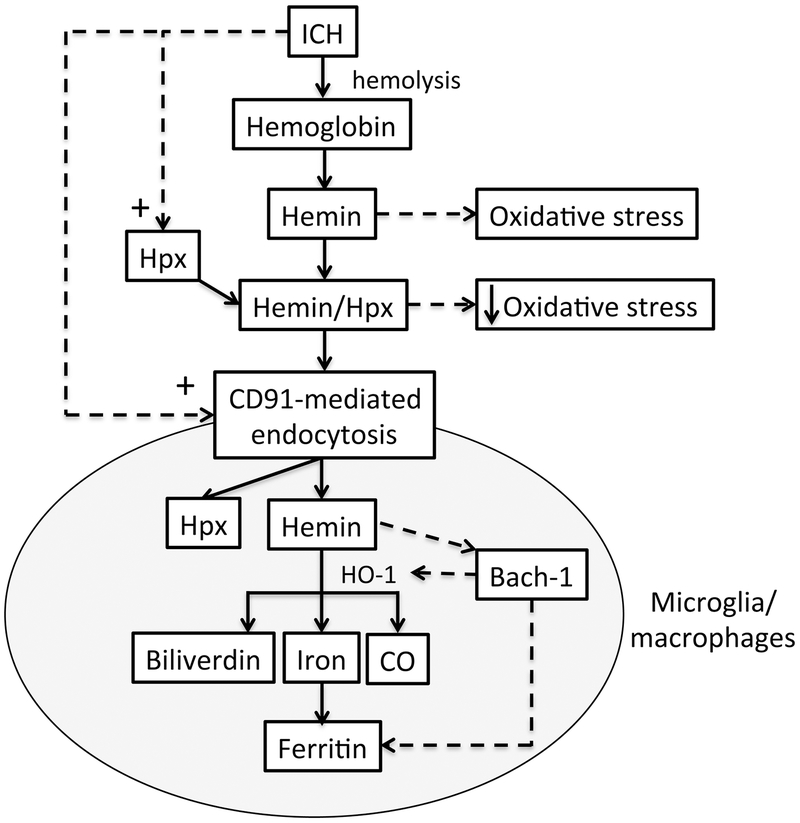 Figure 7.