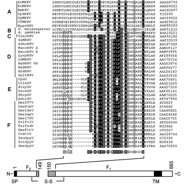 FIG. 1.