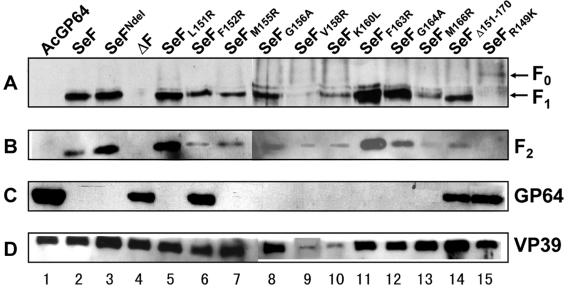 FIG. 5.