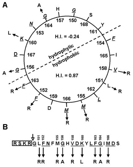 FIG. 2.