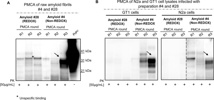 Fig 7