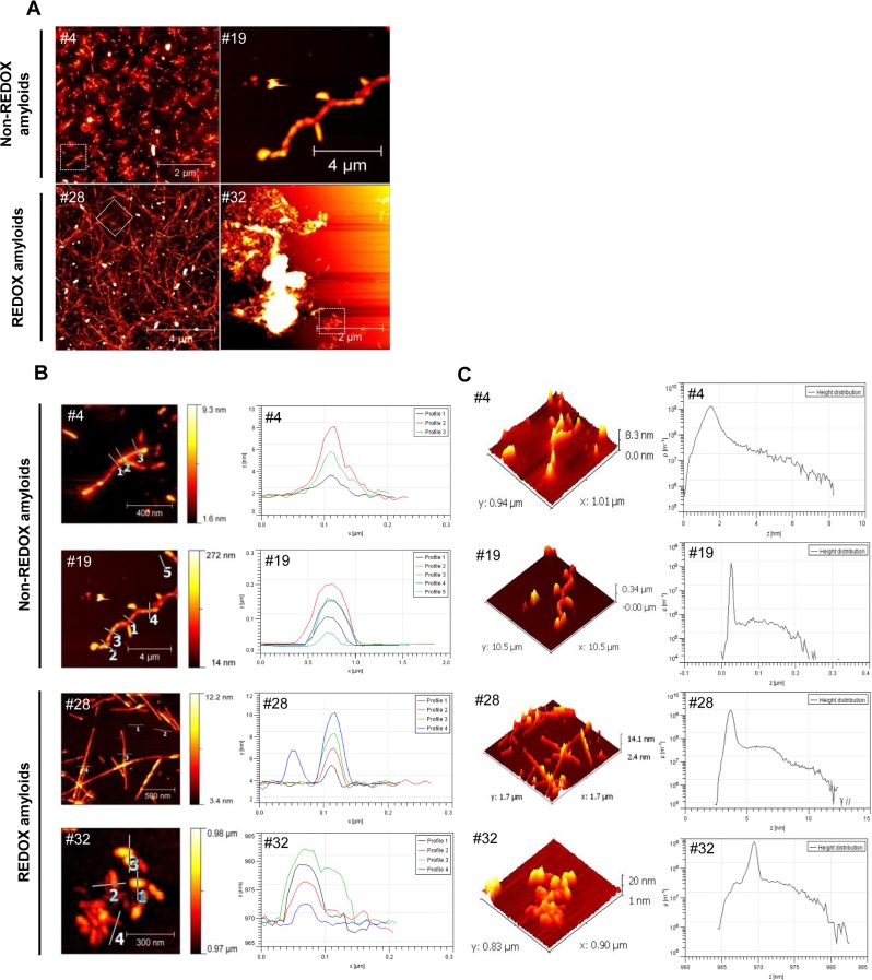 Fig 2