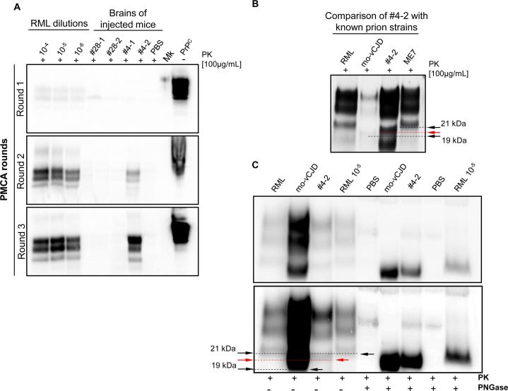 Fig 8