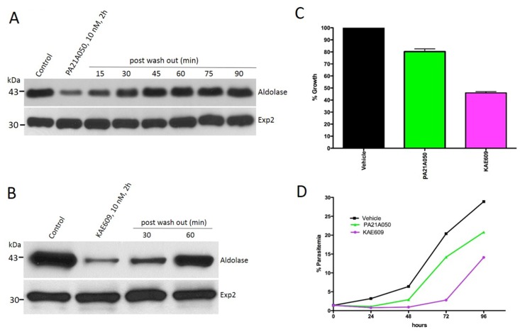 Fig 6