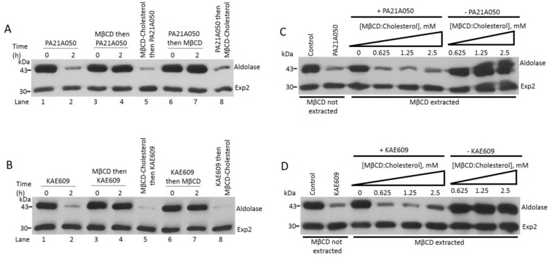 Fig 3