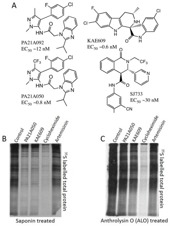 Fig 1