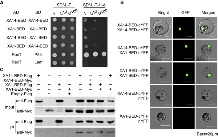 Figure 6