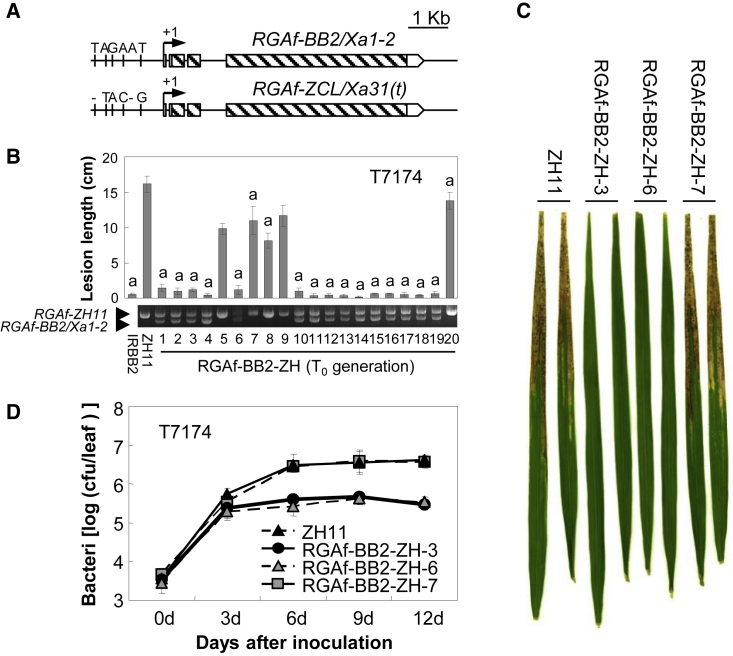 Figure 2