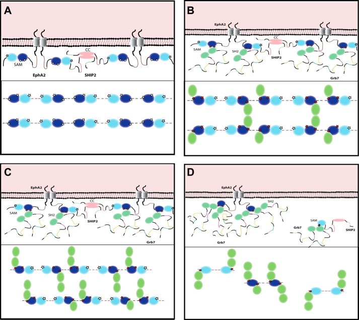 FIGURE 7.