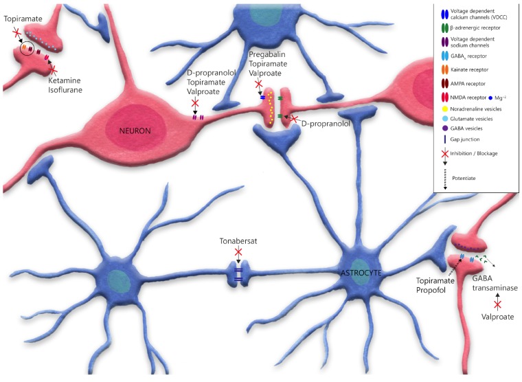 Fig. (3)