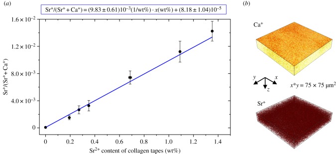 Figure 6.