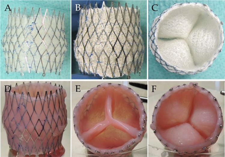 Fig. 2