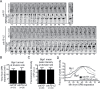 FIGURE 5: