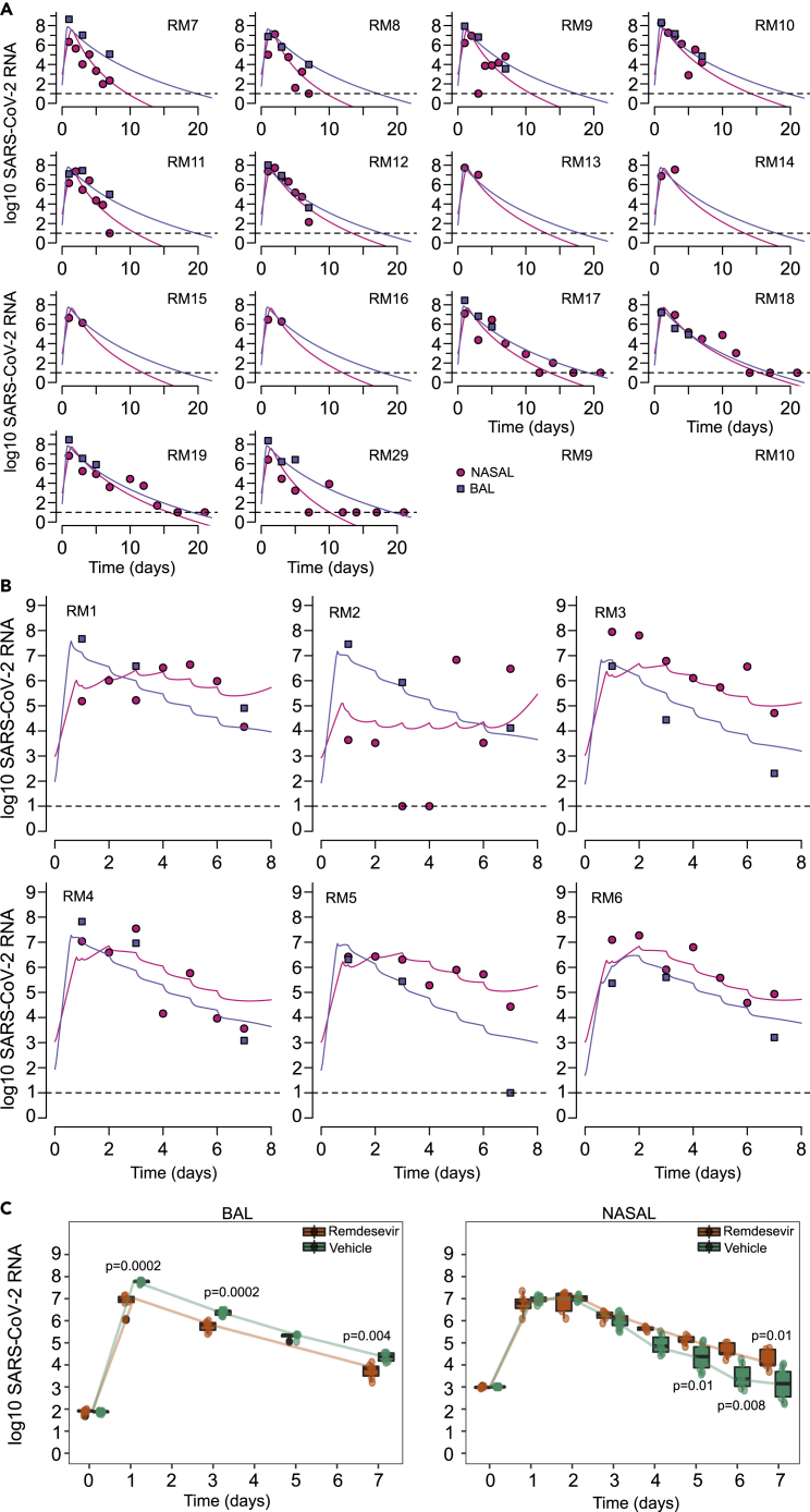 Figure 5