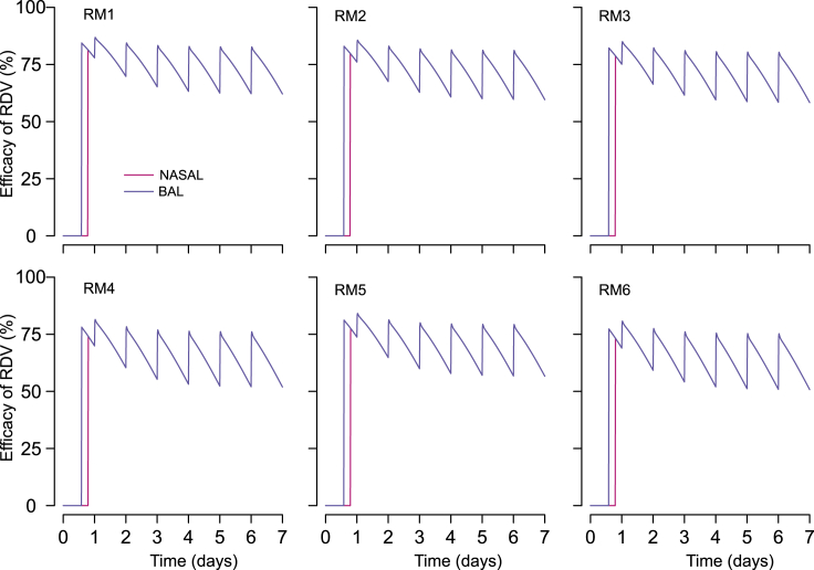 Figure 6