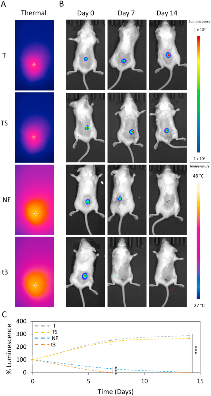 Fig. 10