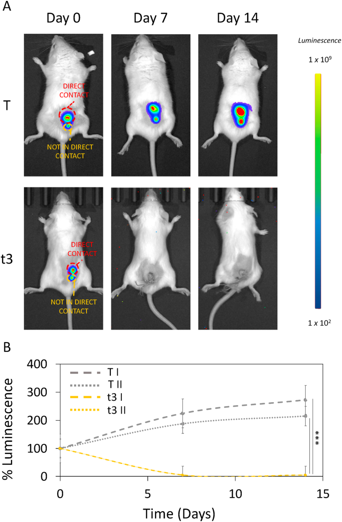 Fig. 12