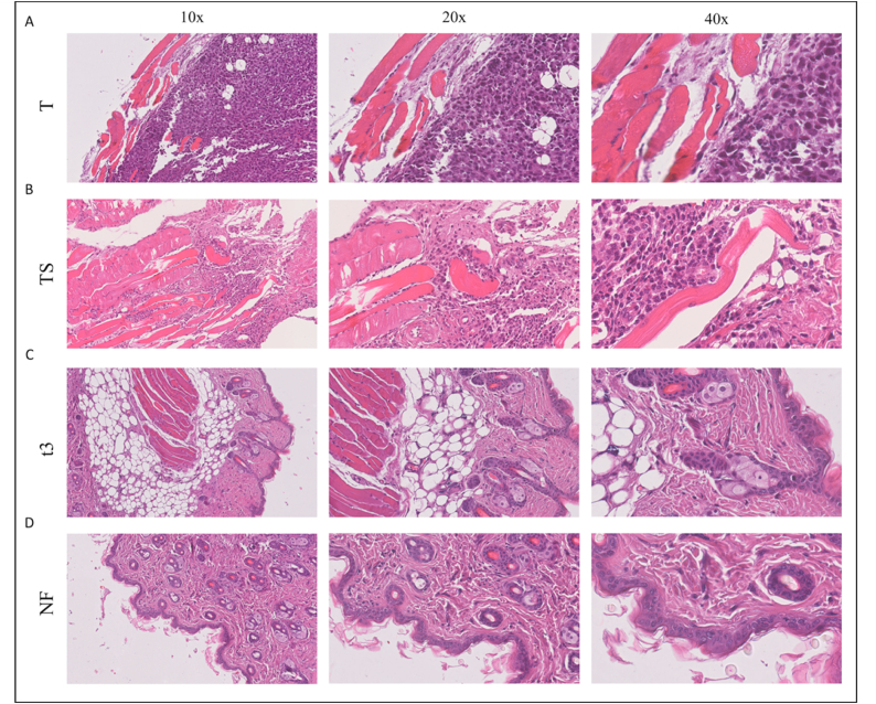 Fig. 11