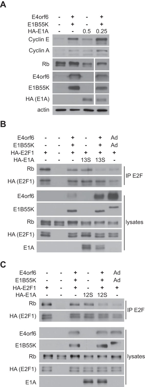 FIG 4 