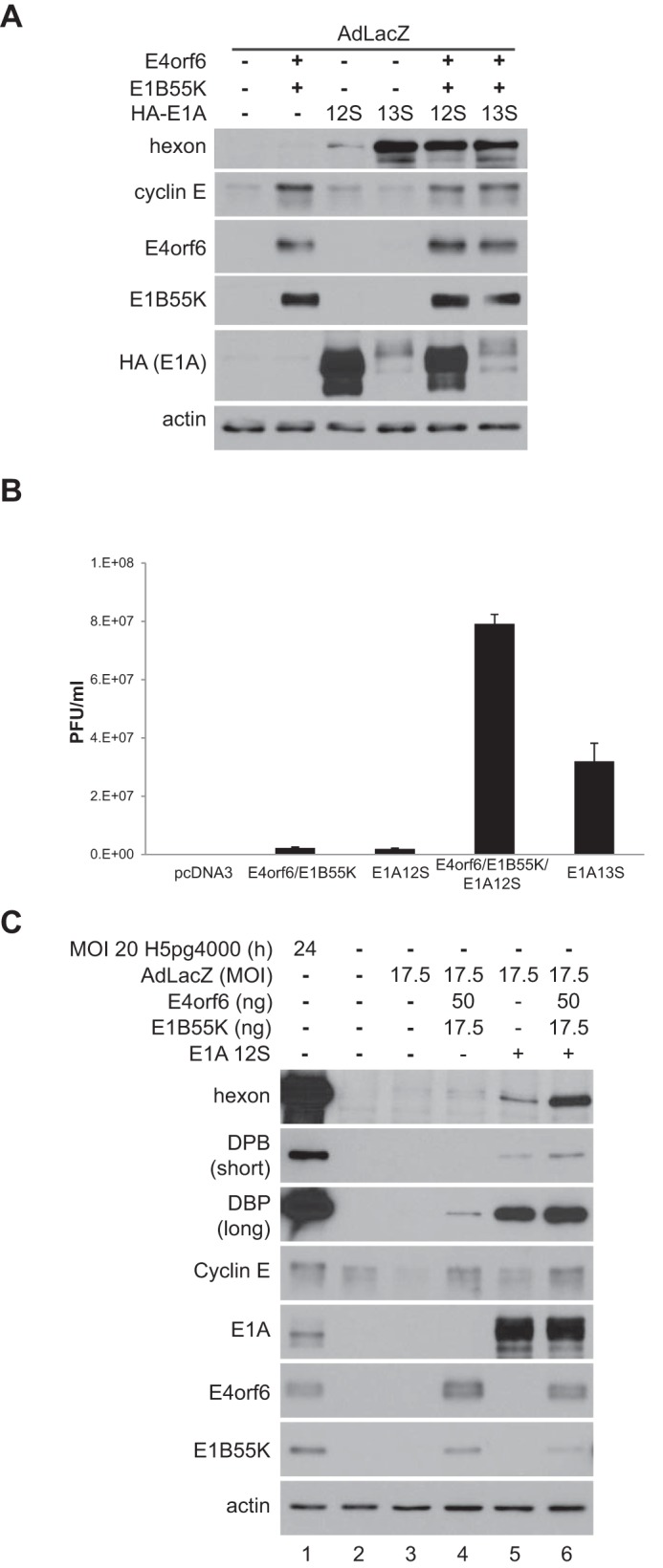 FIG 5 