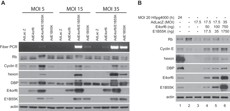 FIG 1 