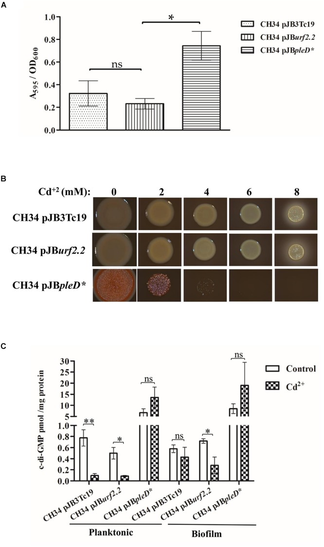 Figure 5