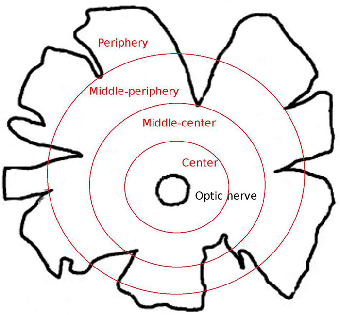 FIGURE 1