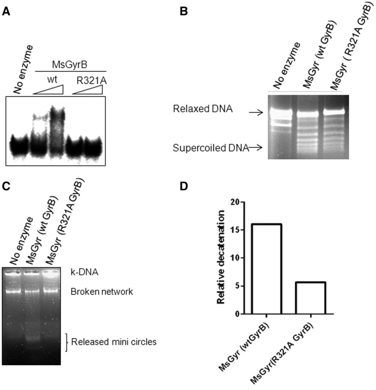 Figure 7.