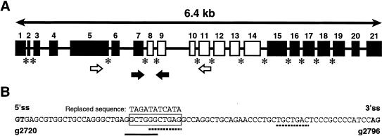 Figure  1