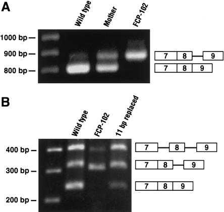 Figure  2