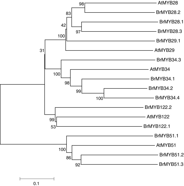 Fig. 2